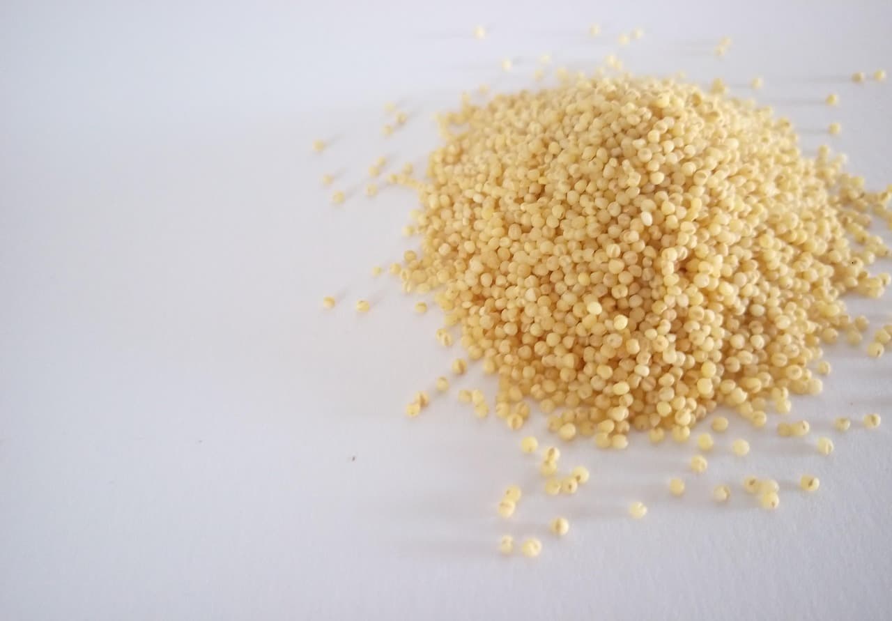 Pile of pale yellow proso millet grains